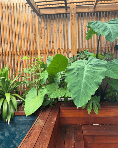 paysagiste Saint-Jean-de-Luz