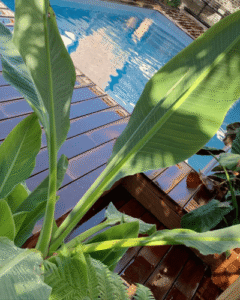 Paysagiste au Pays Basque