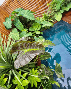 paysagiste Saint-Jean-de-Luz